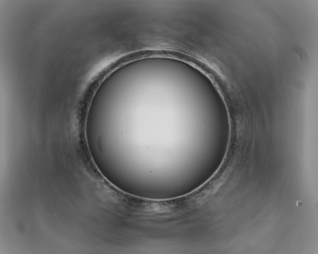 X0000112041311200908101352