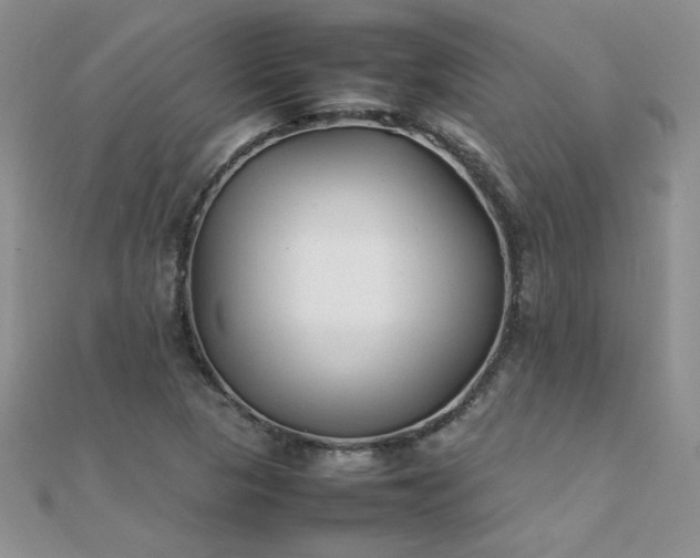 X0000112041313200908101352