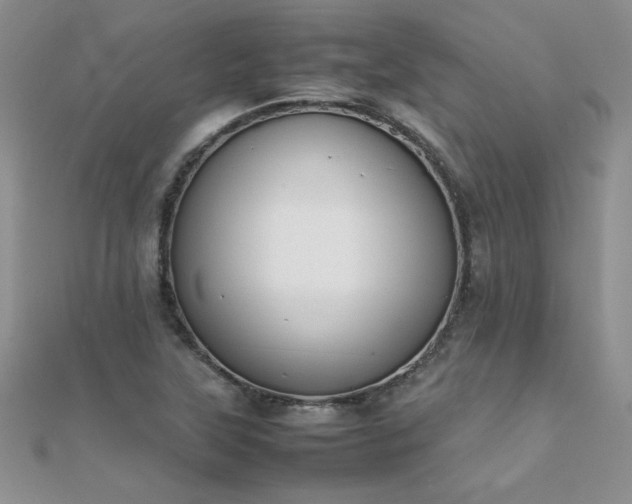X0000112041315200908101352