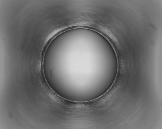 X0000112041316200908101352