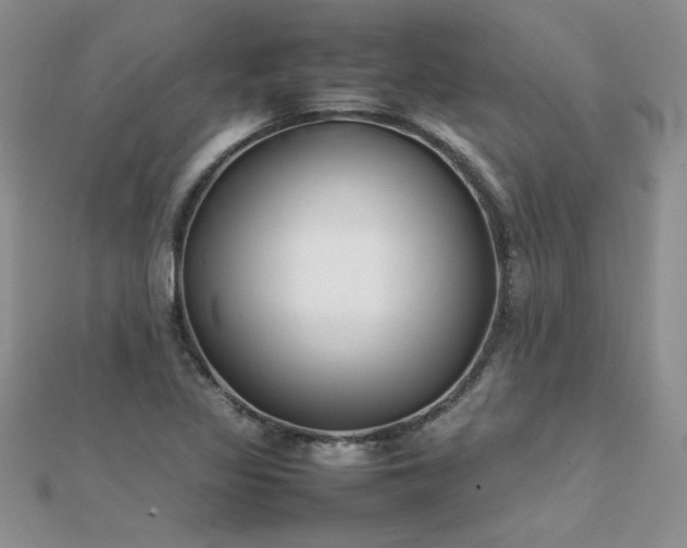 X0000112041317200908101352