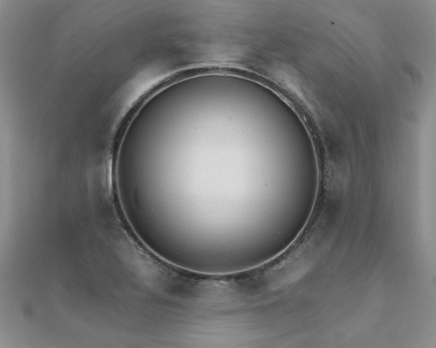 X0000112041320200908101352