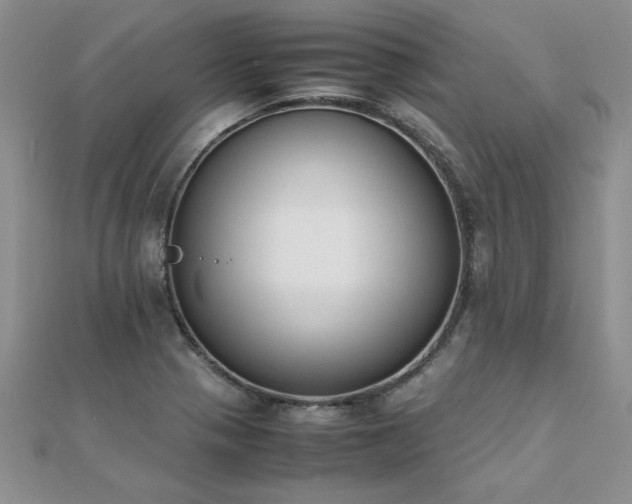 X0000112041321200908101352