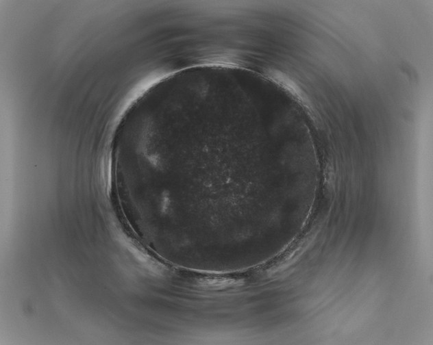 X0000112041323200908101352