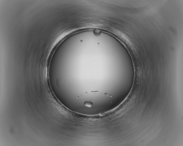 X0000112041324200908101352