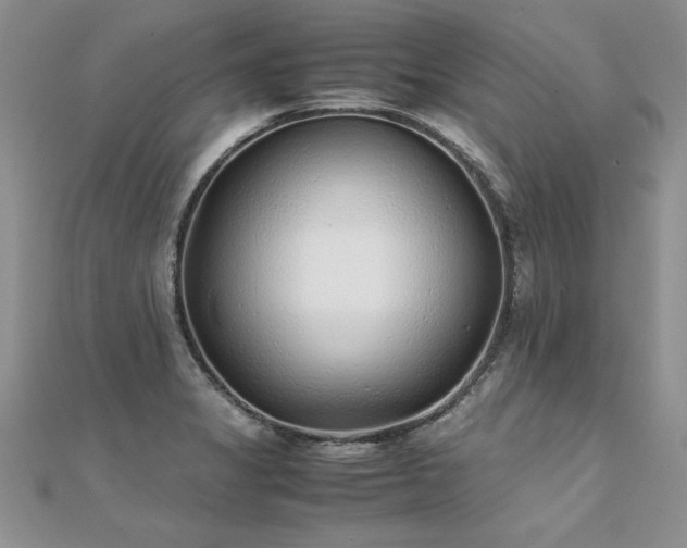 X0000112041325200908101352