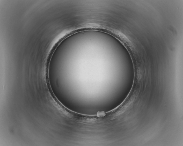X0000112041326200908101352