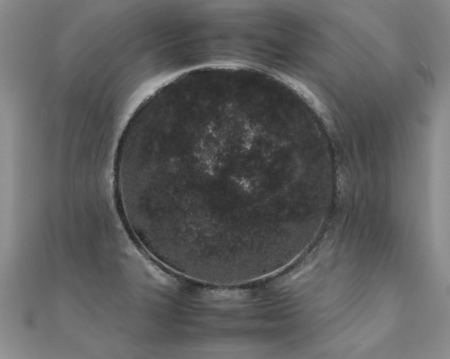 X0000112041327200908101352