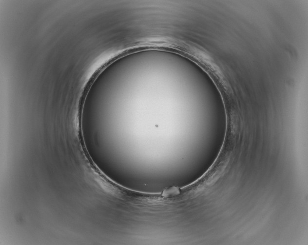 X0000112041328200908101352