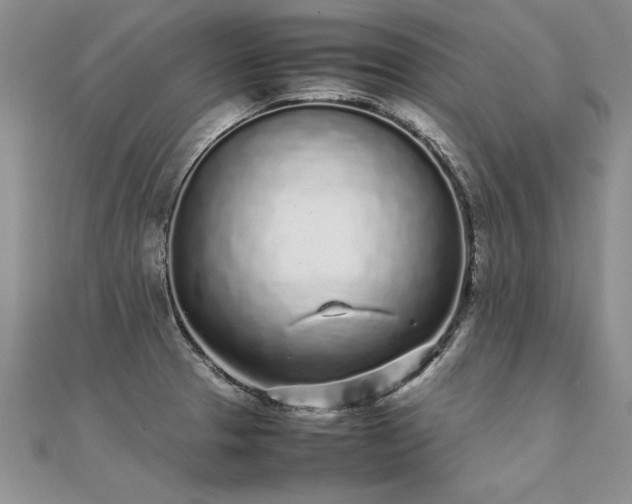 X0000112041329200908101352