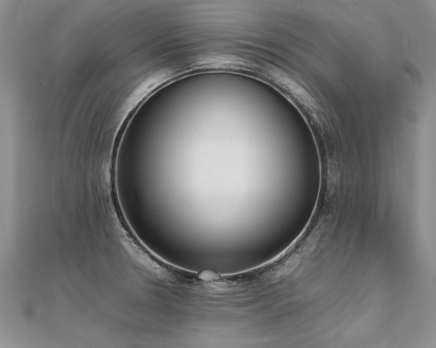 X0000112041330200908101352