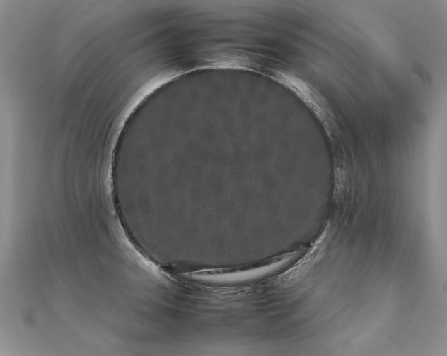 X0000112041331200908101352
