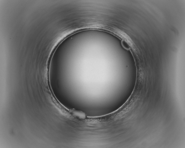 X0000112041332200908101352