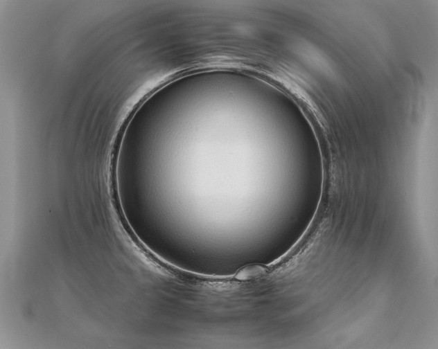 X0000112041333200908101352