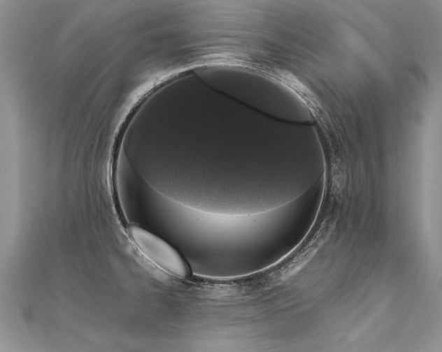 X0000112041334200908101352