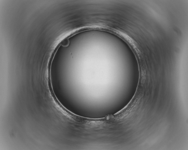 X0000112041335200908101352