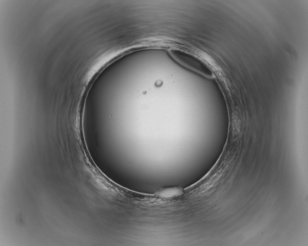 X0000112041336200908101352
