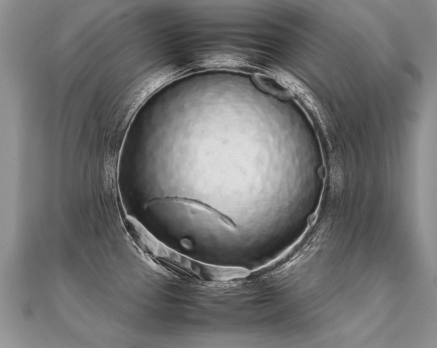 X0000112041337200908101352