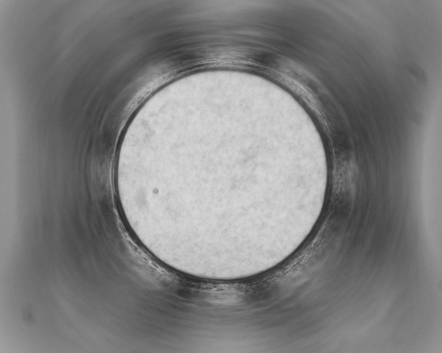 X0000112041338200908101352