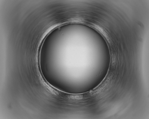 X0000112041339200908101352