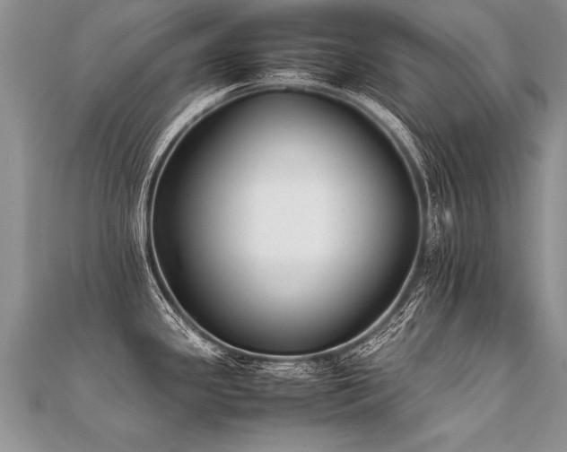 X0000112041341200908101352