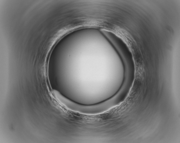 X0000112041342200908101352