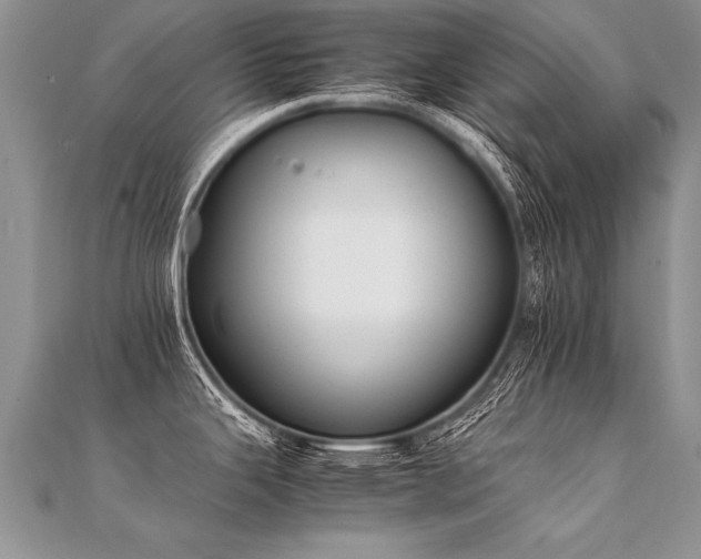 X0000112041343200908101352