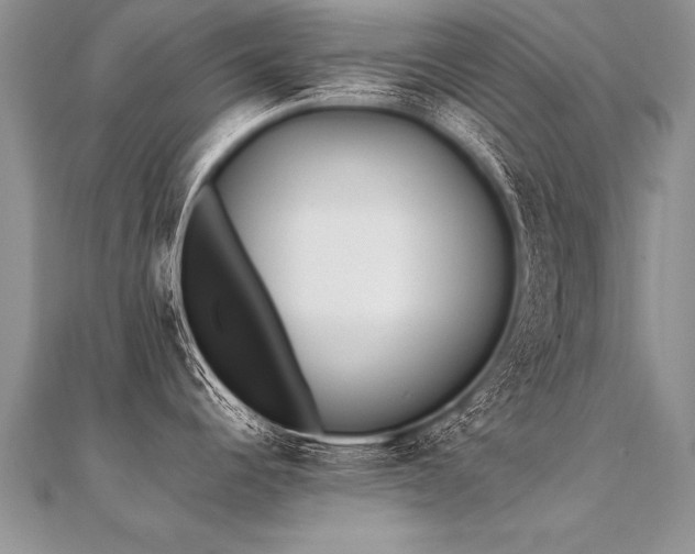 X0000112041344200908101352