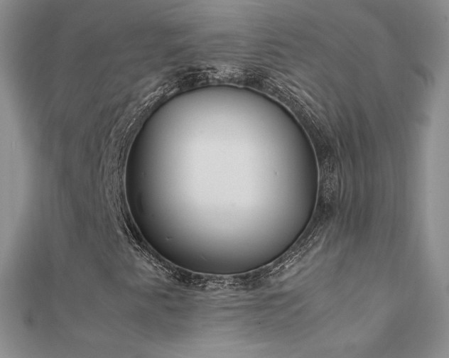 X0000112041345200908101352