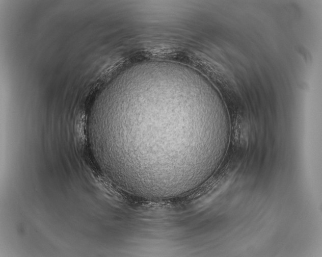 X0000112041346200908101352