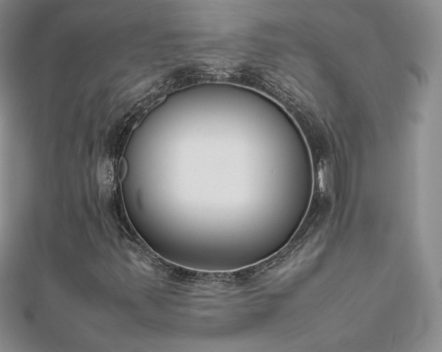 X0000112041347200908101352