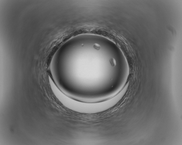 X0000112041349200908101352