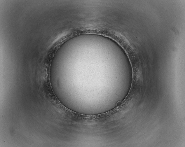 X0000112041350200908101352