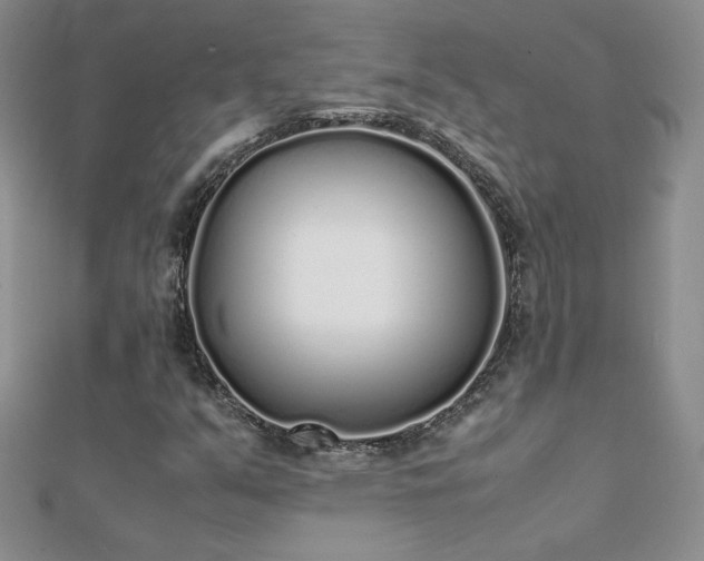 X0000112041351200908101352