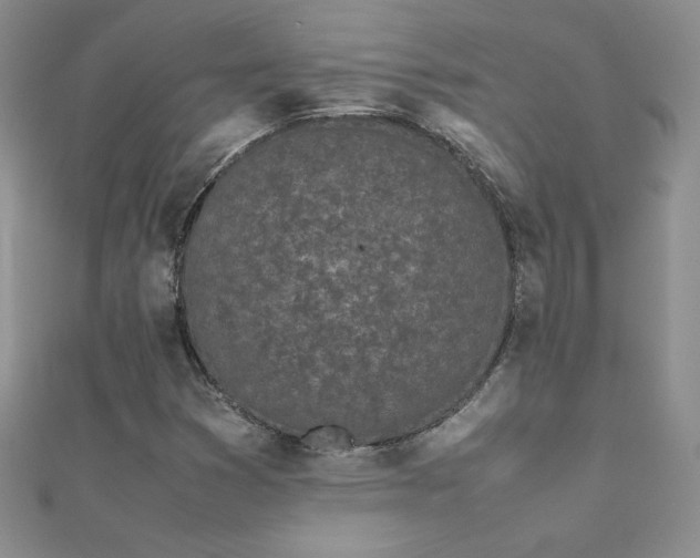 X0000112041353200908101352