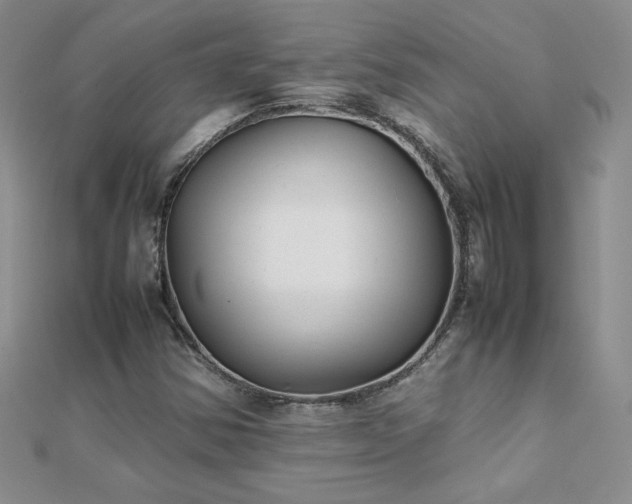 X0000112041354200908101352