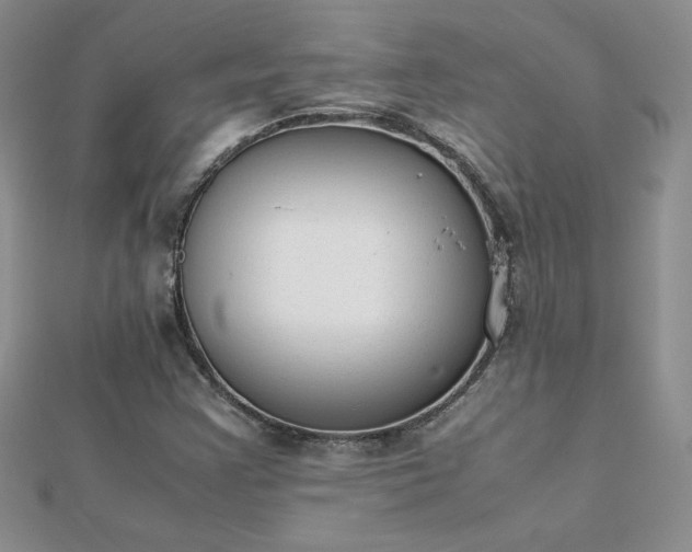 X0000112041355200908101352