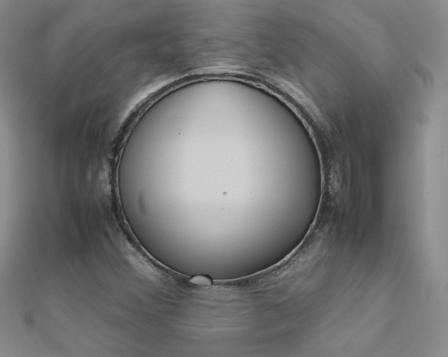 X0000112041356200908101352