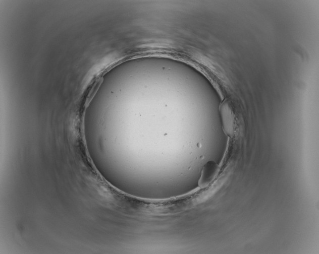 X0000112041357200908101352