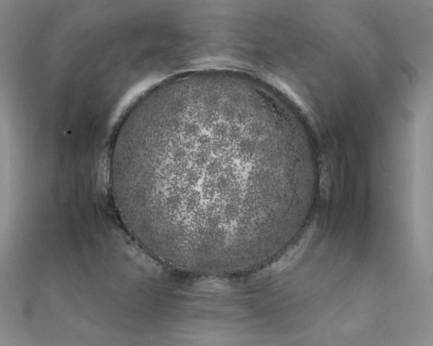 X0000112041358200908101352