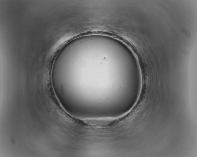 X0000112041359200908101352