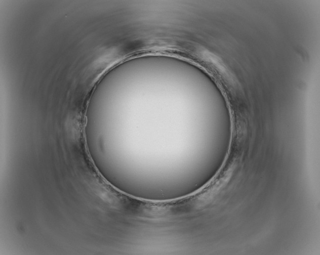 X0000112041361200908101352