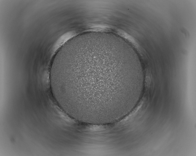 X0000112041362200908101352