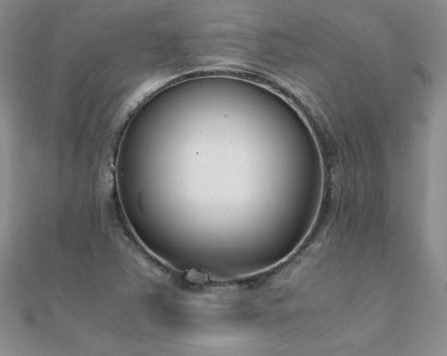 X0000112041363200908101352
