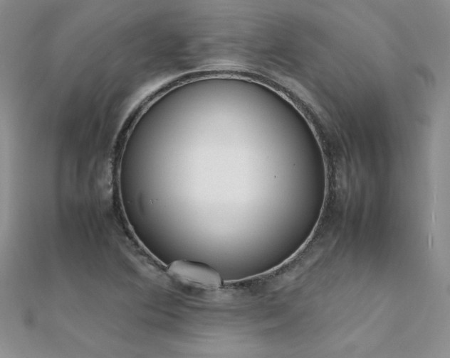 X0000112041364200908101352