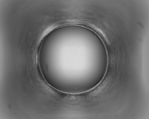 X0000112041365200908101352