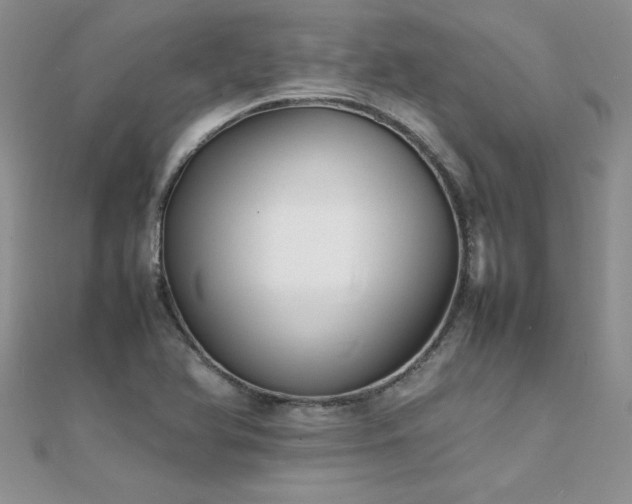 X0000112041366200908101352
