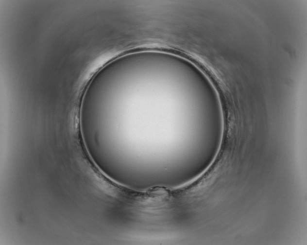 X0000112041367200908101351
