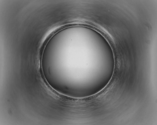 X0000112041368200908101351