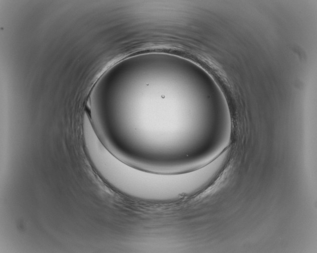 X0000112041369200908101351